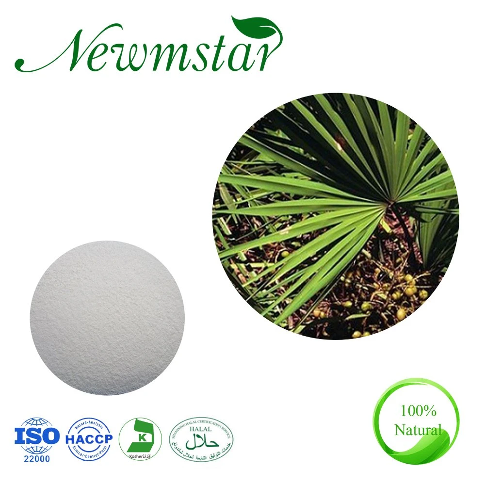 25%, 45% Fettsäure Säge Palmetto Extrakt (Serenoa repensBartr. Klein)