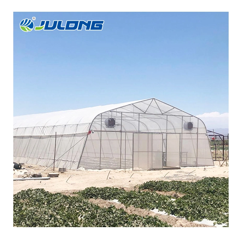 Low Cost Invernadero Agricultural Single-Span Greenhouses for Sale