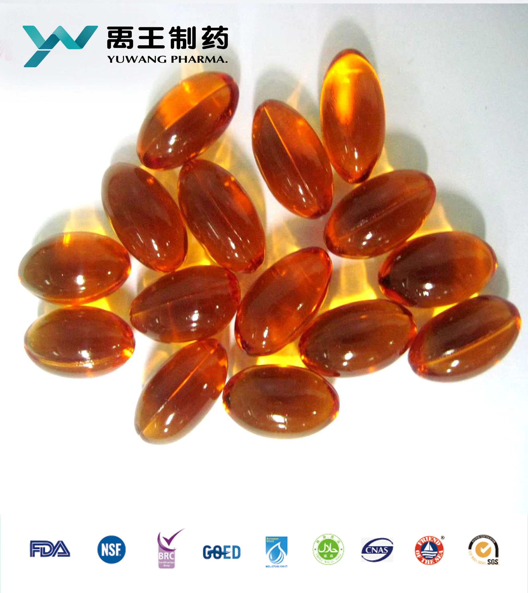 Halal GMP Brc FDA Bitter Yuwang OEM Gourd Weight Loss Capsule in Bulk