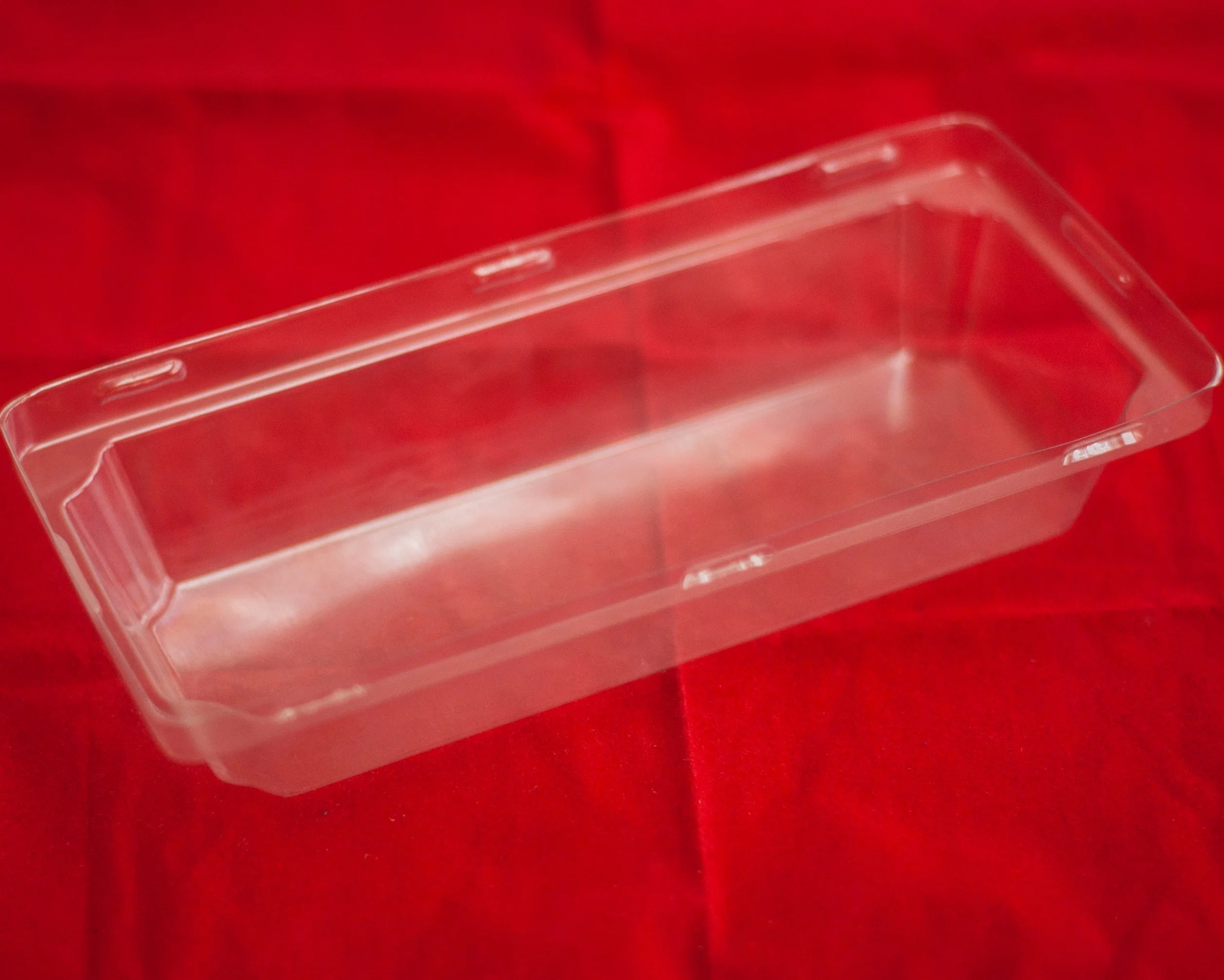 Plastic Polystyrene Transparent Puffed Food Container