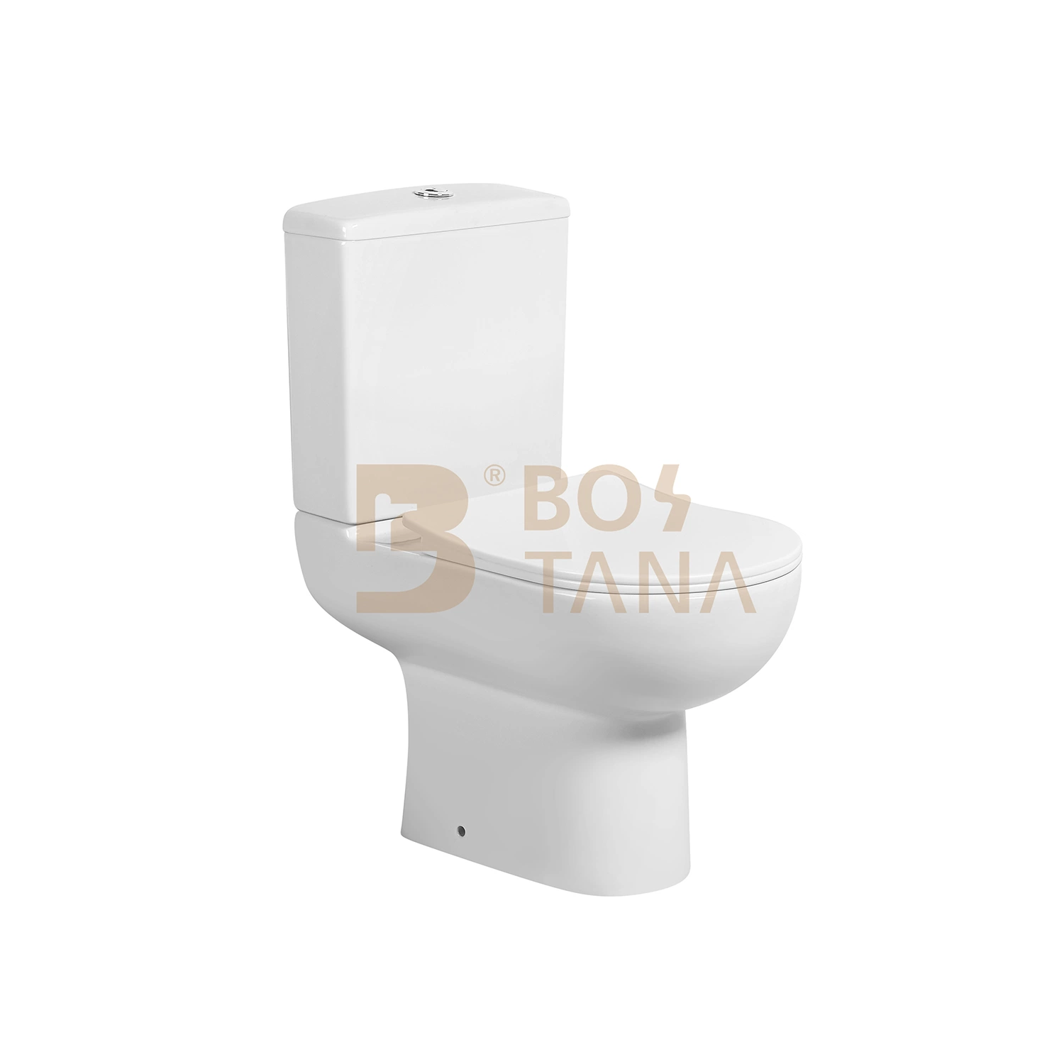 Wc cerâmica P-Trap sem rebordo WC privada Sanitaryware de Duas Peças