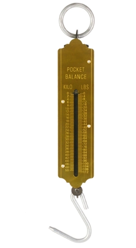 Hanging Scale (PK-50kg)