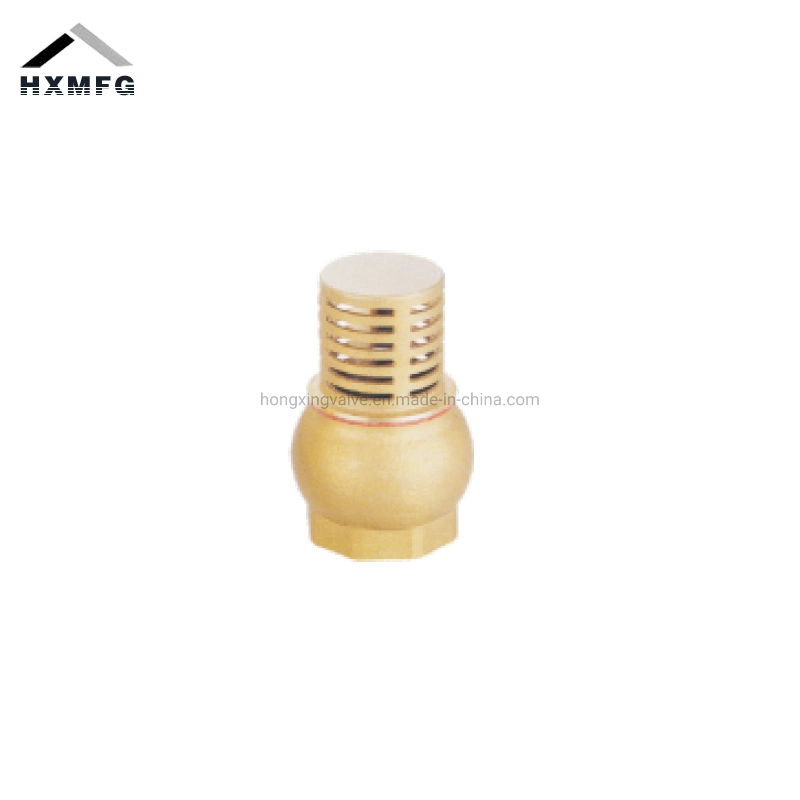 Brass Female Connector Metal Core Bottom Non-Return Valve