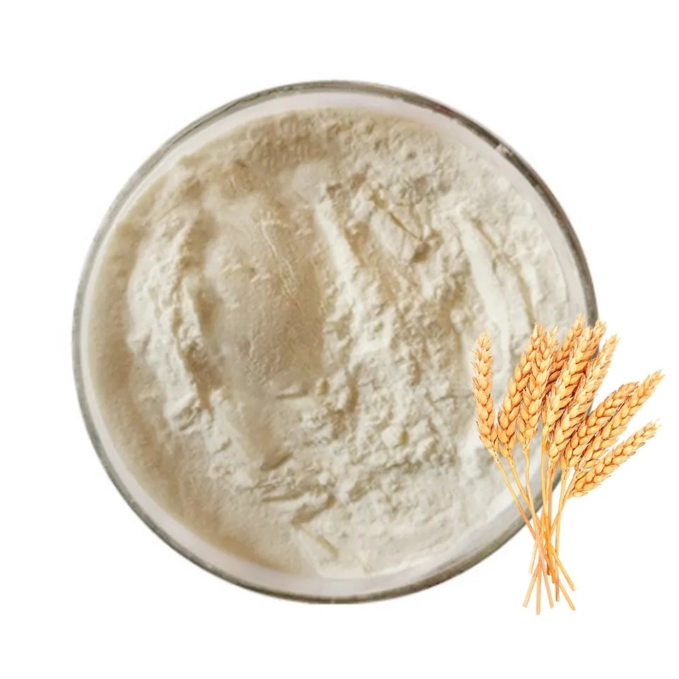 High quality/High cost performance  Organic 82% Vital Wheat Gluten Flour 25kg Food Grade Feed Grade Powder