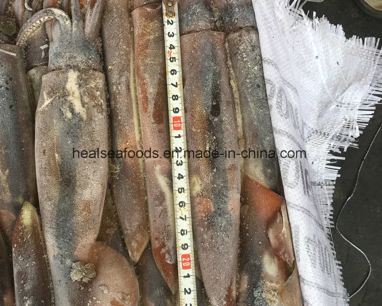 12.5kgs Bqf Squid Illex Argentinus Squid From China