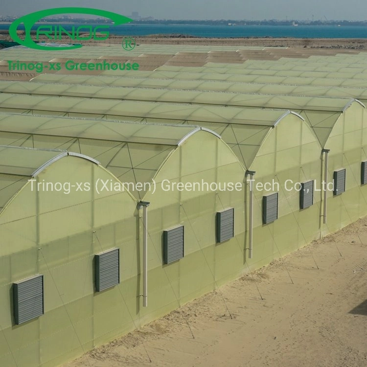 Trinog Greenhouse Multi-Span Arch Type PE/Po Plastic/Film Agricultural Greenhouse with Hydroponics System for Tomato/ Cucumber/ Lettuce/ Pepper Planting