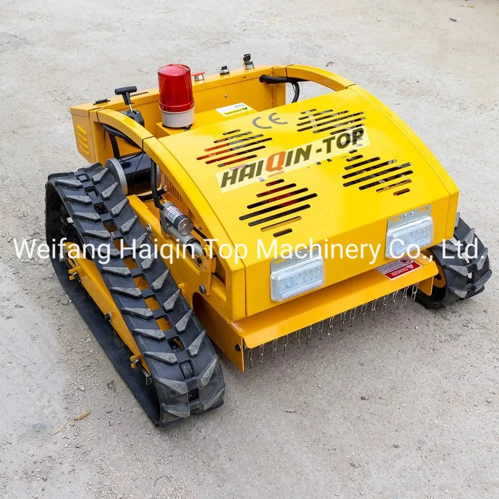 China Haiqintop Mini Control remoto RC Electrónica Transportador de césped con CE