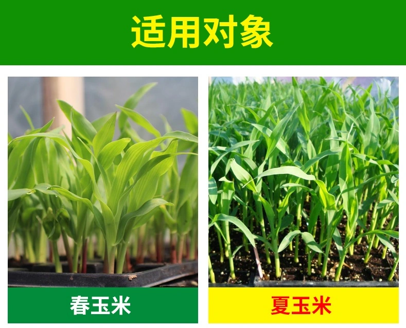 40% alachlor metolachlor  Atrazine SE Herbicide for corn field