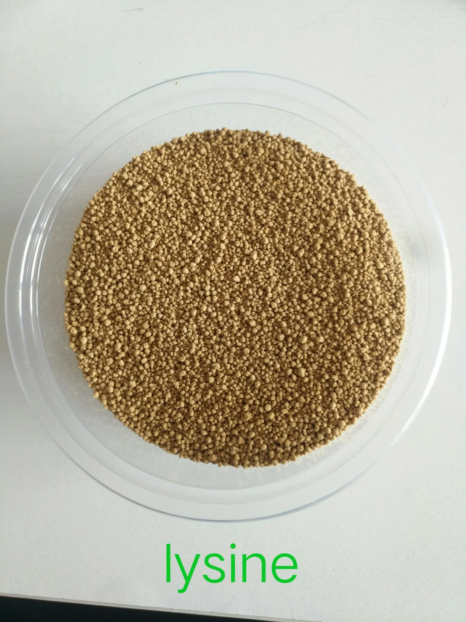 Lysine 70% Amino Acid Feed Additive