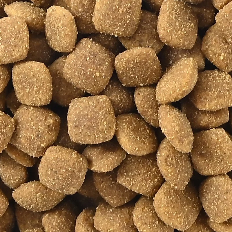 Chine Fabricant frais VEGALES grains Mix nourriture pour chiens