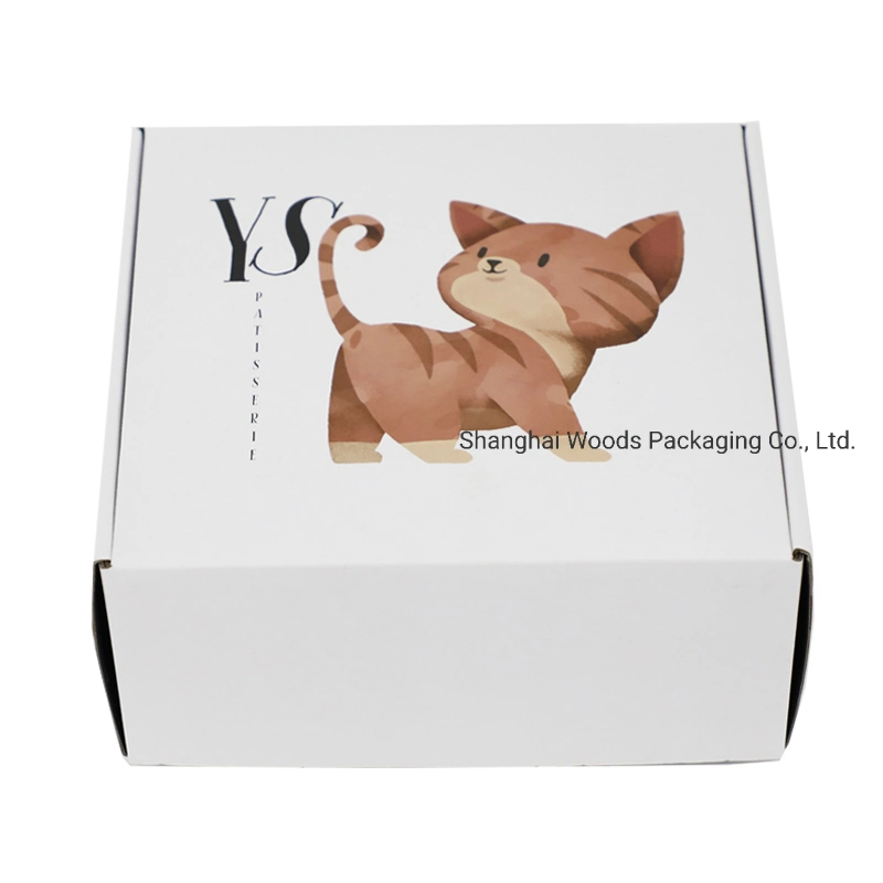 Papel corrugado blanco Mailer impresión PET Toy Packaging Kraft de lujo Caja de envío de cartón