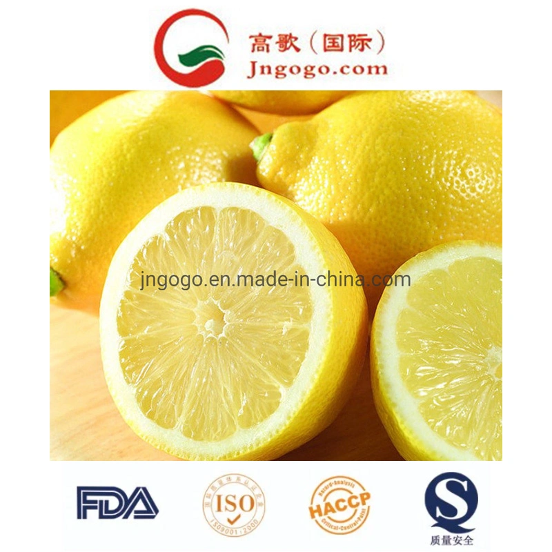 Grade a Fresh Lemon Eureka for Exporting