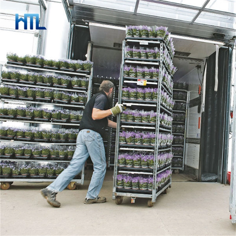 Tablettes réglables Vente aux enchères Garden Centre danois de chariot d'affichage de plantes de serre