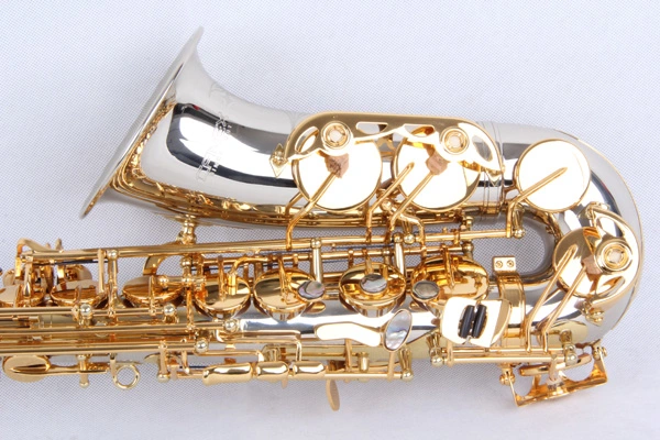 Alto Saxophone Cupronickel Body Professional (SAA-330)