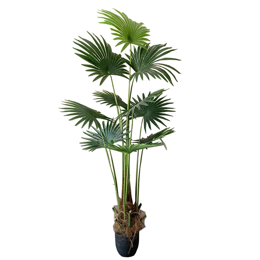 Wholesale/Supplier Plastic Fan Palm Plant Landscape Decorative Artificial Evergreen Tree for Sale