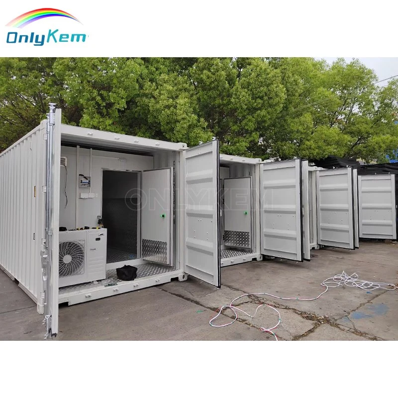 20FT/40hq Walk in Freezer, Cold Storage Container