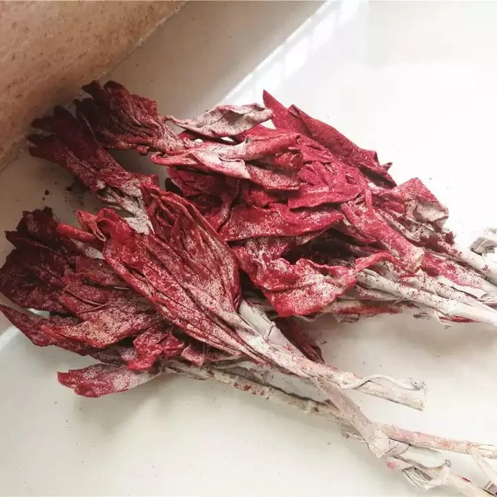 Bulk organic dragon blood sage red smudge stick