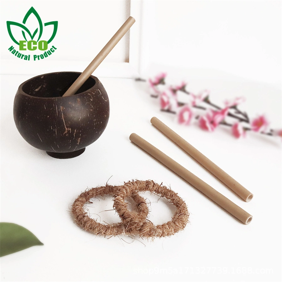 Green and Environment-Friendly Bamboo Straw Creative Bamboo Straw