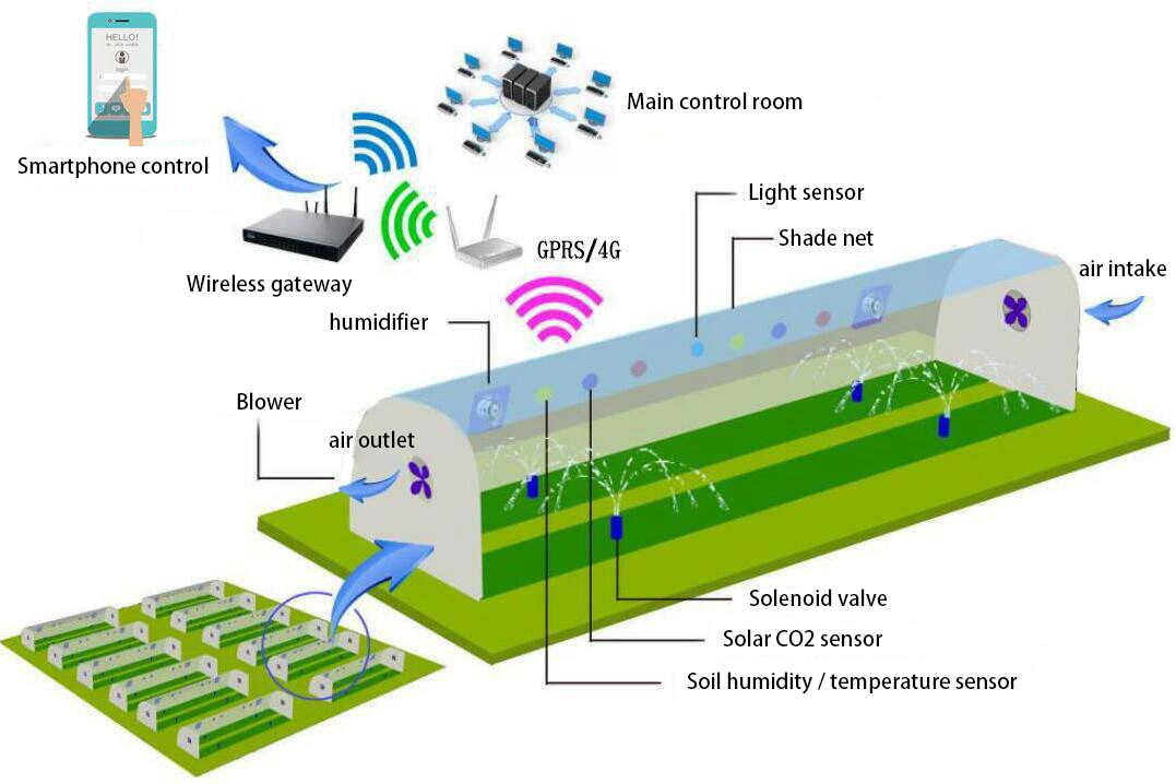 Sistema Inteligente de controlo totalmente automático para produtos hortícolas