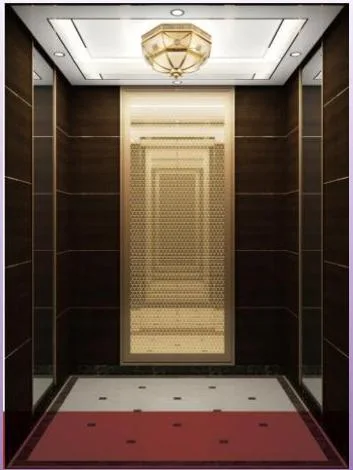 Top 10 Elevator Companies in China Cheap Price 6 Person Passenger Elevator Lift