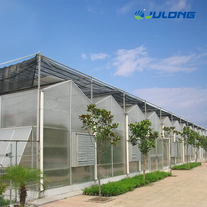 8mm Polycarbonate Glazing Multi Tunnel Greenhouse Equipment for Sale