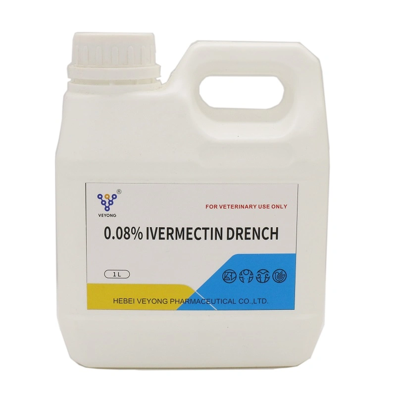 Top-Qualität Ivermectin Oral Solution Drench 0,2% 0,08% 0,8% mit GMP für Tiergebrauch Tierzucht Afrika Asien Ziege Schafe Kamele Pferdekuh