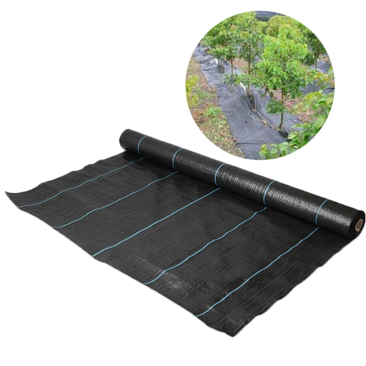 Plastic PP PE Black White Orange Green Woven Ground Cover Anti Weed Mat Fabric