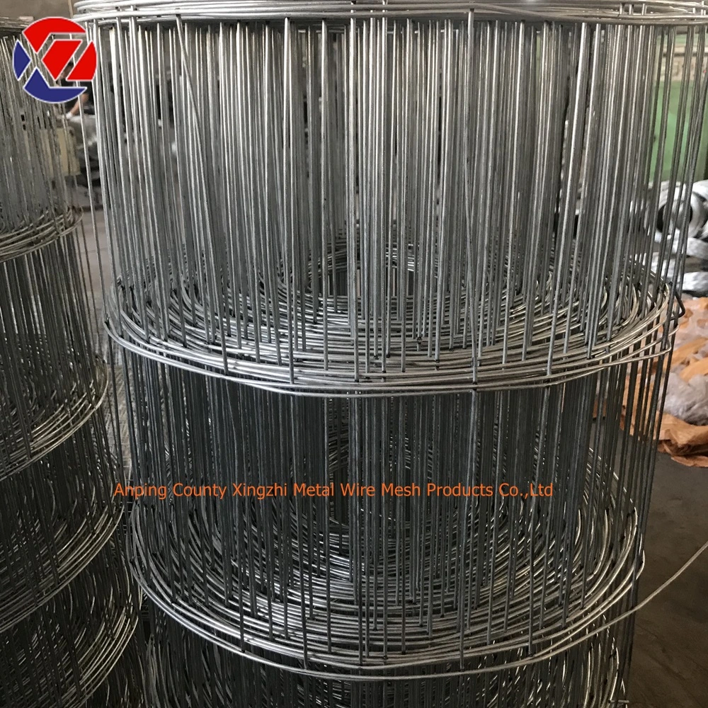 Galvanized Stainless Steel Welded Wire Mesh (Factory price)