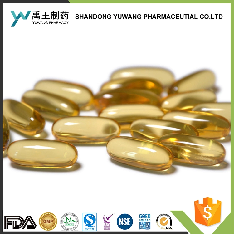 Pure Algae Oil DHA Softgel Capsule Contract Manufacturing