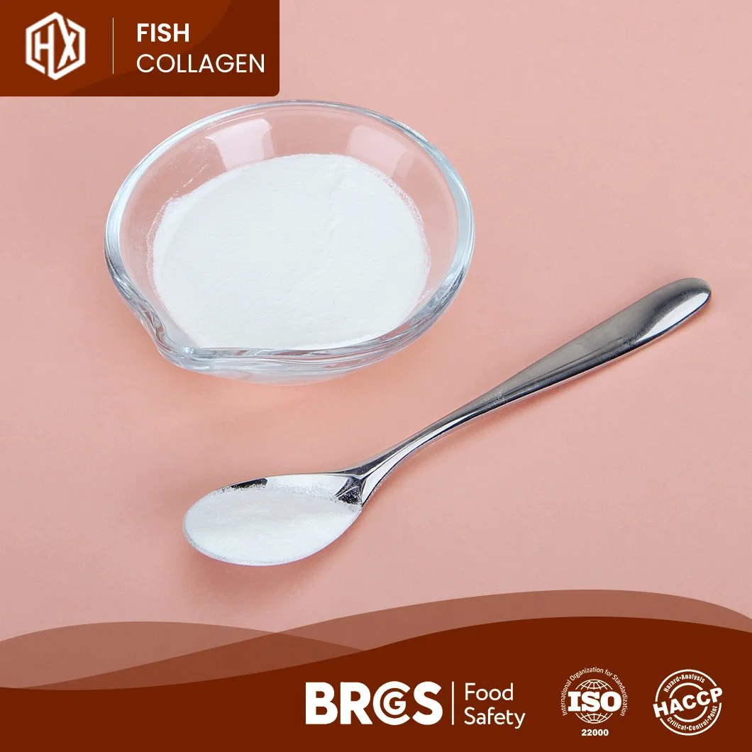 Haoxiang Wholesale/Supplier Hydrolyzed Collagen Powder Vital Proteins Hydrolyzed Beauty Pure Fish Collagen Food Grade and Cosmetic Grade Fish Collagen Peptone Powder