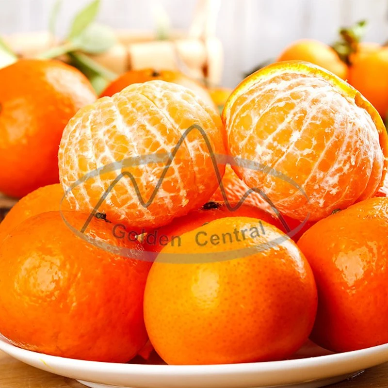 Naranja Navel Super Fresh Precio Naranja fresca