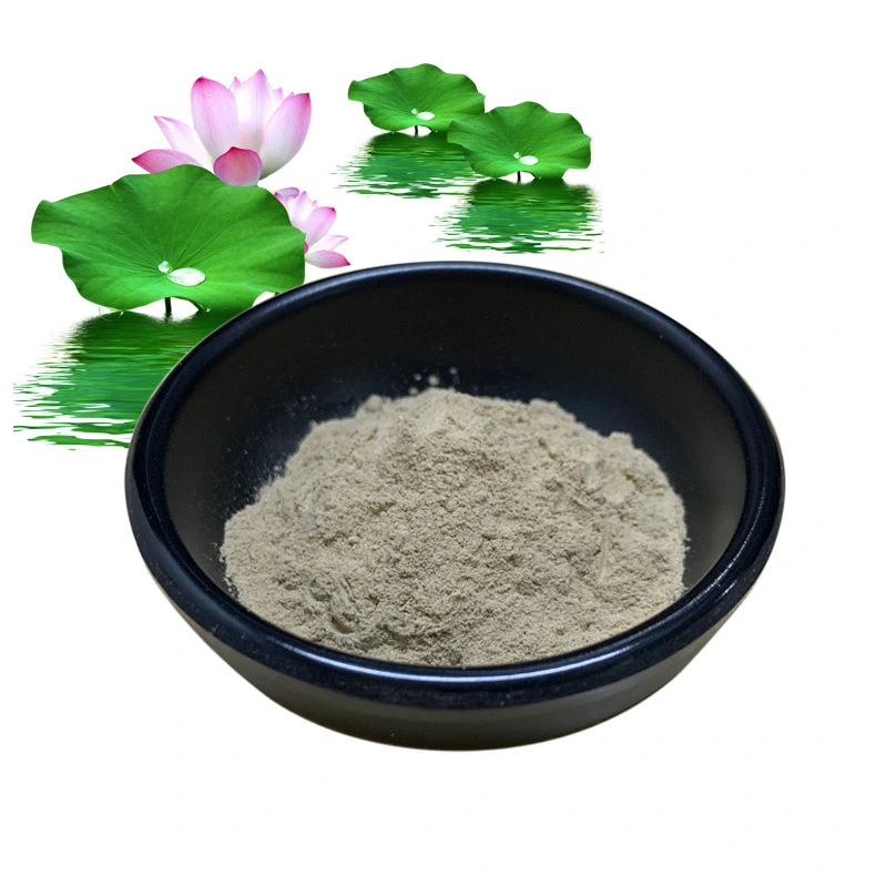 Nuciferin Nuciferine Lotus Leaf Extract with Effect of Weight Loss