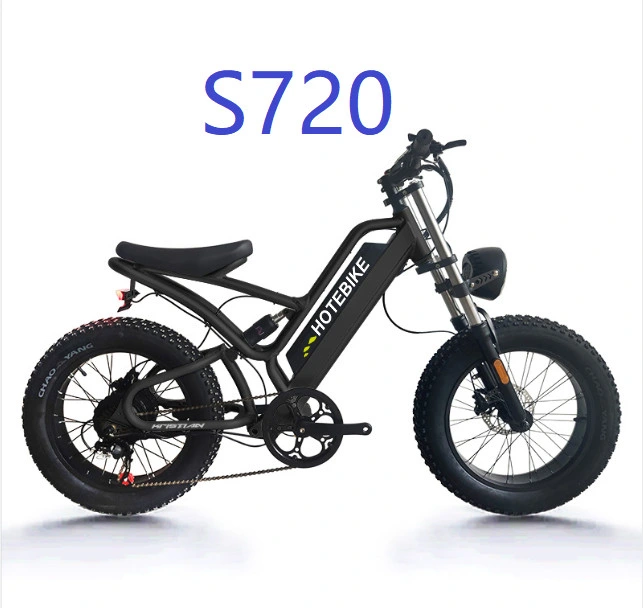 Five Adjustable Speed 1: 1 Pedal Assistant E Dirt Electric Fat Tire Bike Electric Motorcycles 1000W Electric Bike Ebike 1000W