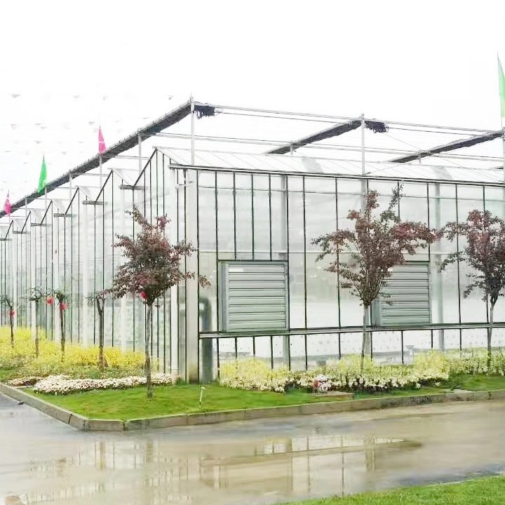 Large Size Hydroponics System Venlo Type Multi-Span Commercial Glass Production Greenhouse for Flower/Fruit/Vegetables