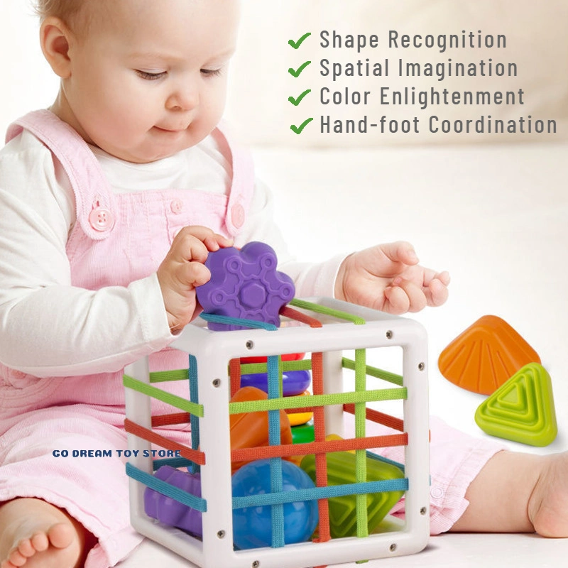 Colorful Blocks Sorting Game Baby Montessori Learning Intellectual Educational Toys for Children Gifts