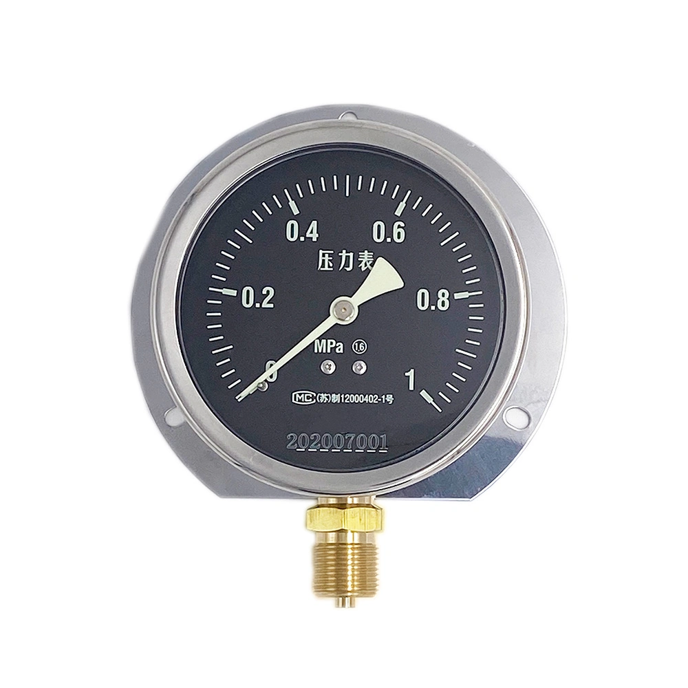 Marine Dry Type 0-1MPa 100mm Pressure Gauges for Ships