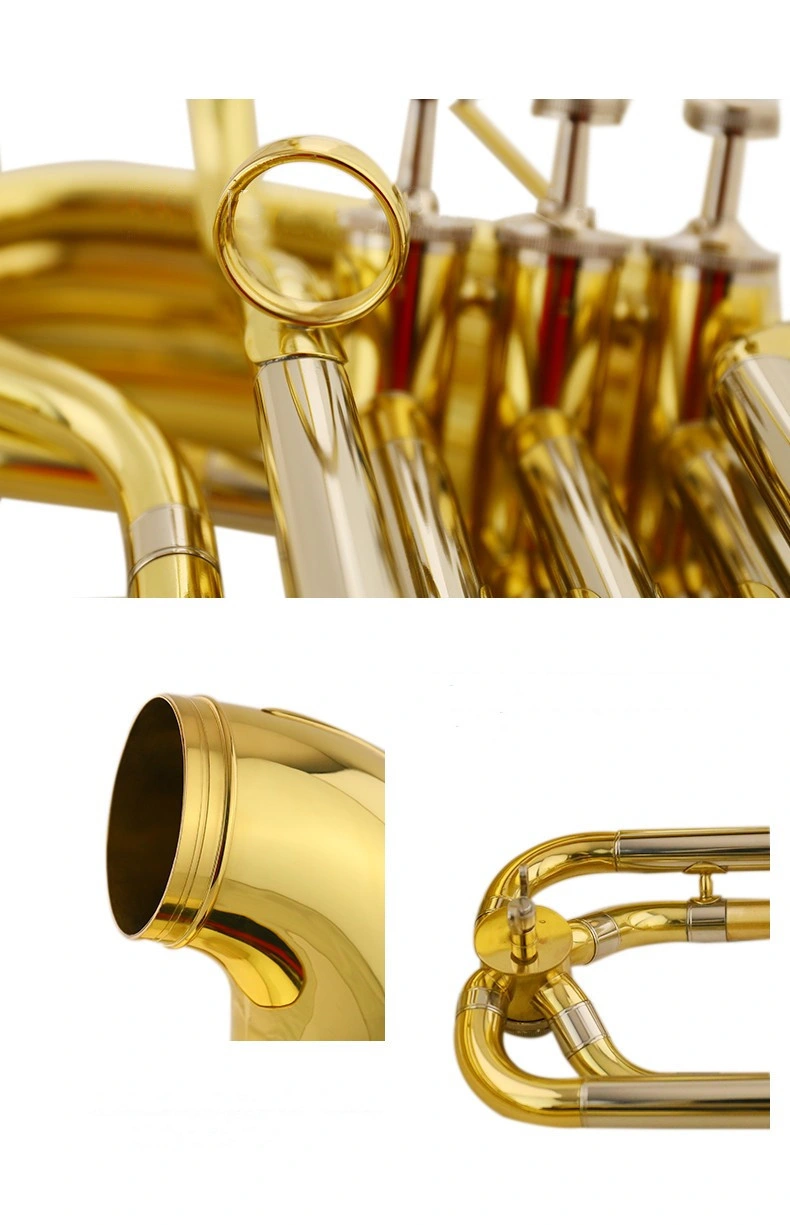 Gold Lacquer C Key Sousaphone (TUS-120L)