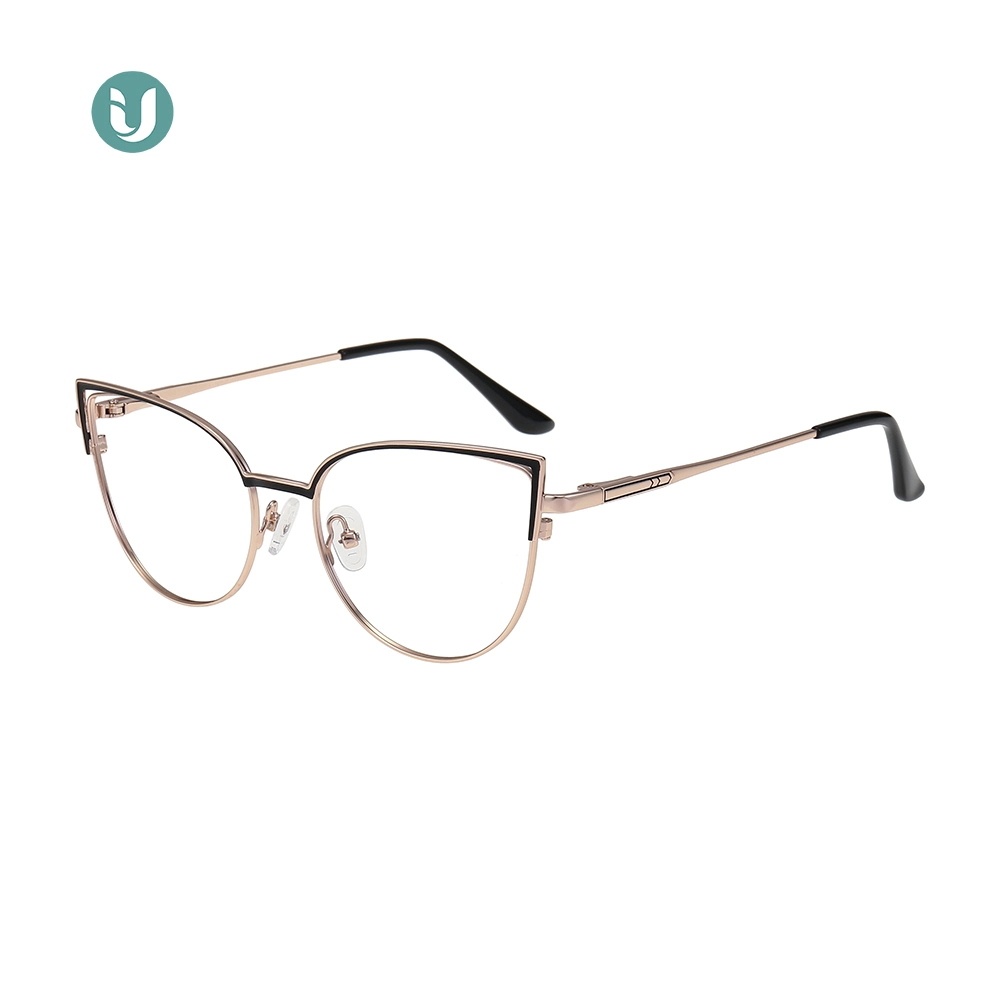 Stylish Cat Eye Perception Optical Eyeglasses Frames Eye Glasses for Women