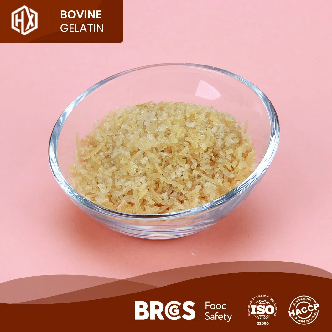 Haoxiang Wholesale Custom Pharma Bovine Skin Gelatin High-Purity Powdered Bovine Skin Gelatin China Factory OEM Customized Bovine Skin Gelatin Granular