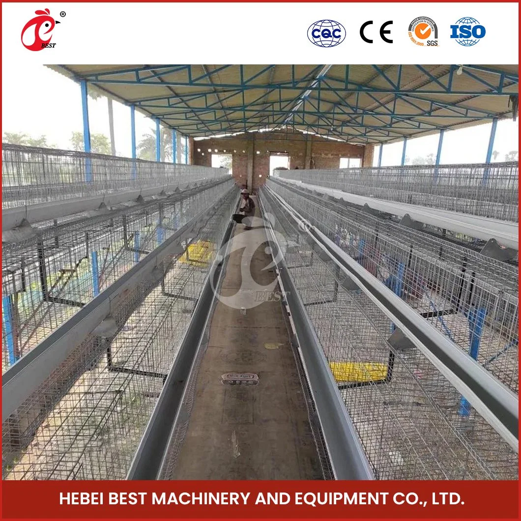 Bestchickencage a Type Layer Cage China Giant Chicken Coop Supplier Custom Chicken Cage for Layers Configuration Chicken Coop Doors