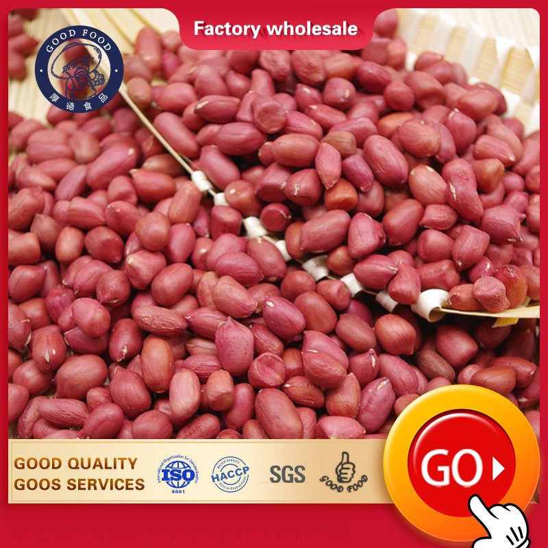 Hot Sale Peanut Kernel New Crop