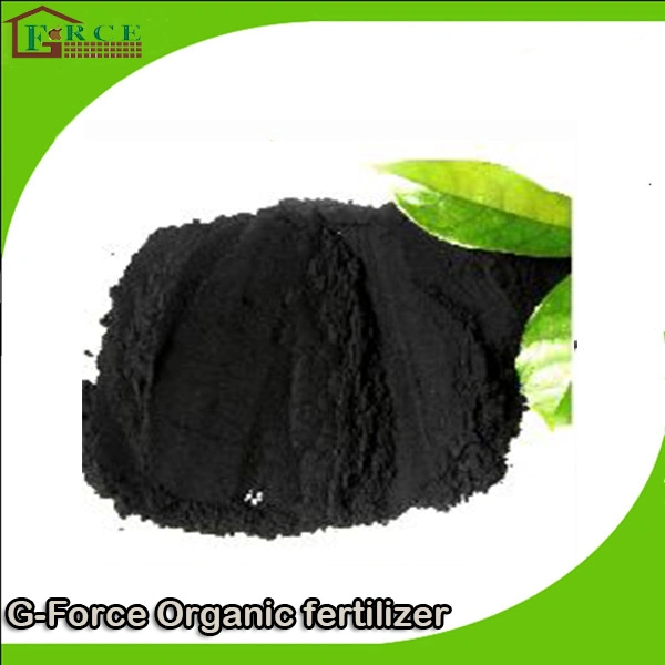 Slow Release and Black Glowing Ball Humic Acid Quality