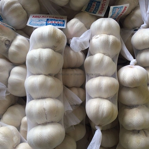 White Fresh Garlic Price Shandong Garlic