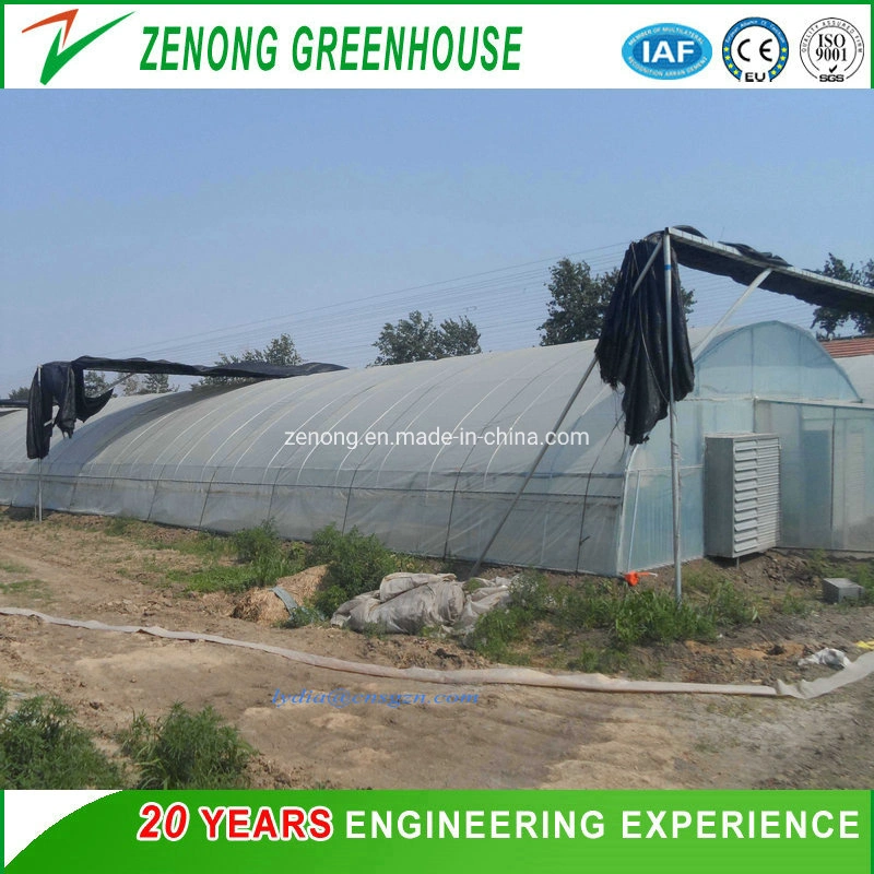 Low Cost Simple Hot DIP Galvanized Steel Plastic Film Arch Tunnel Greenhouse