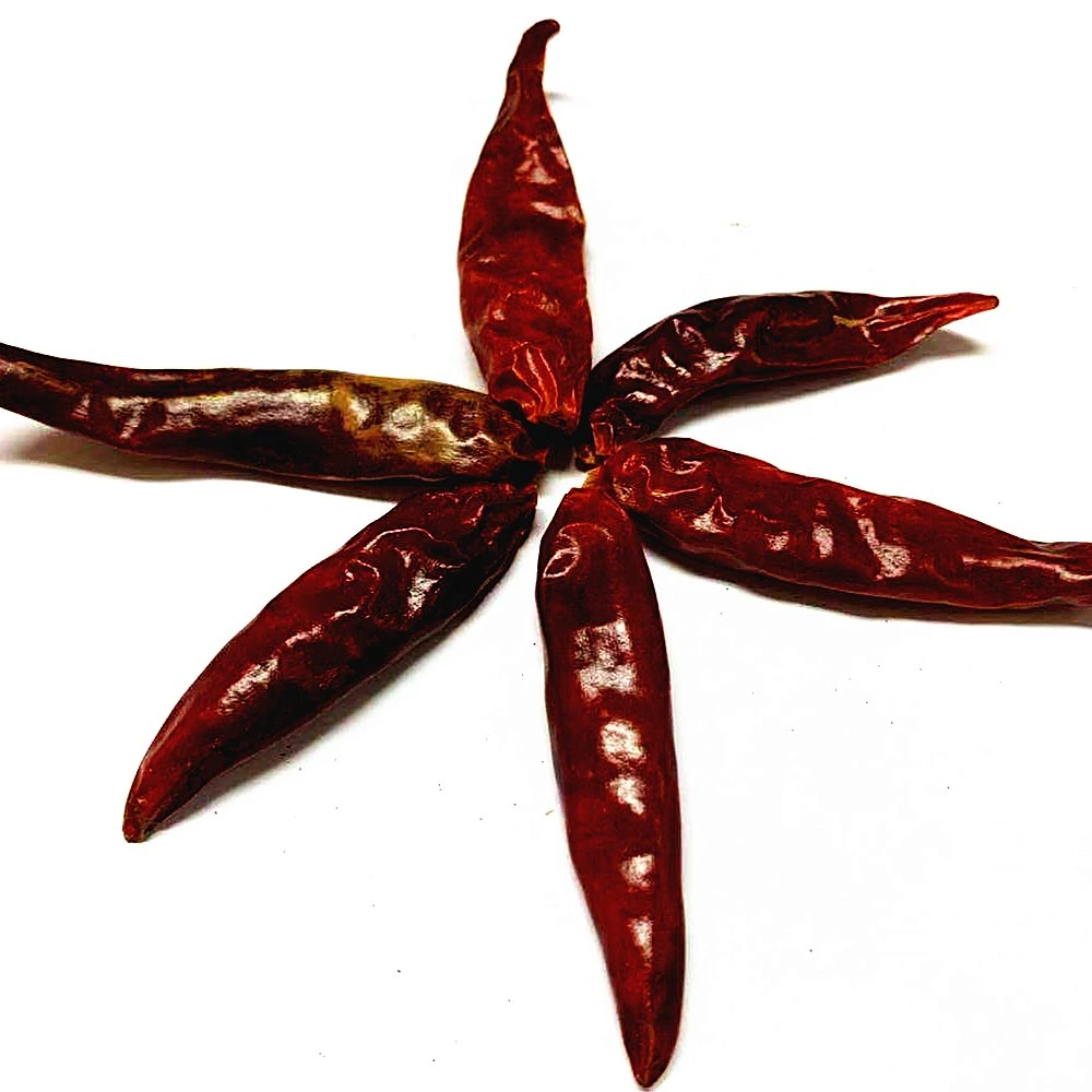 Dehydrated Chilli Whole Factory Price with Best Quality