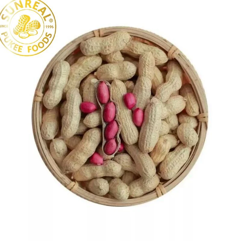 China Raw Red Skin Peanut in Shell/Best Quality/ Fine Packing