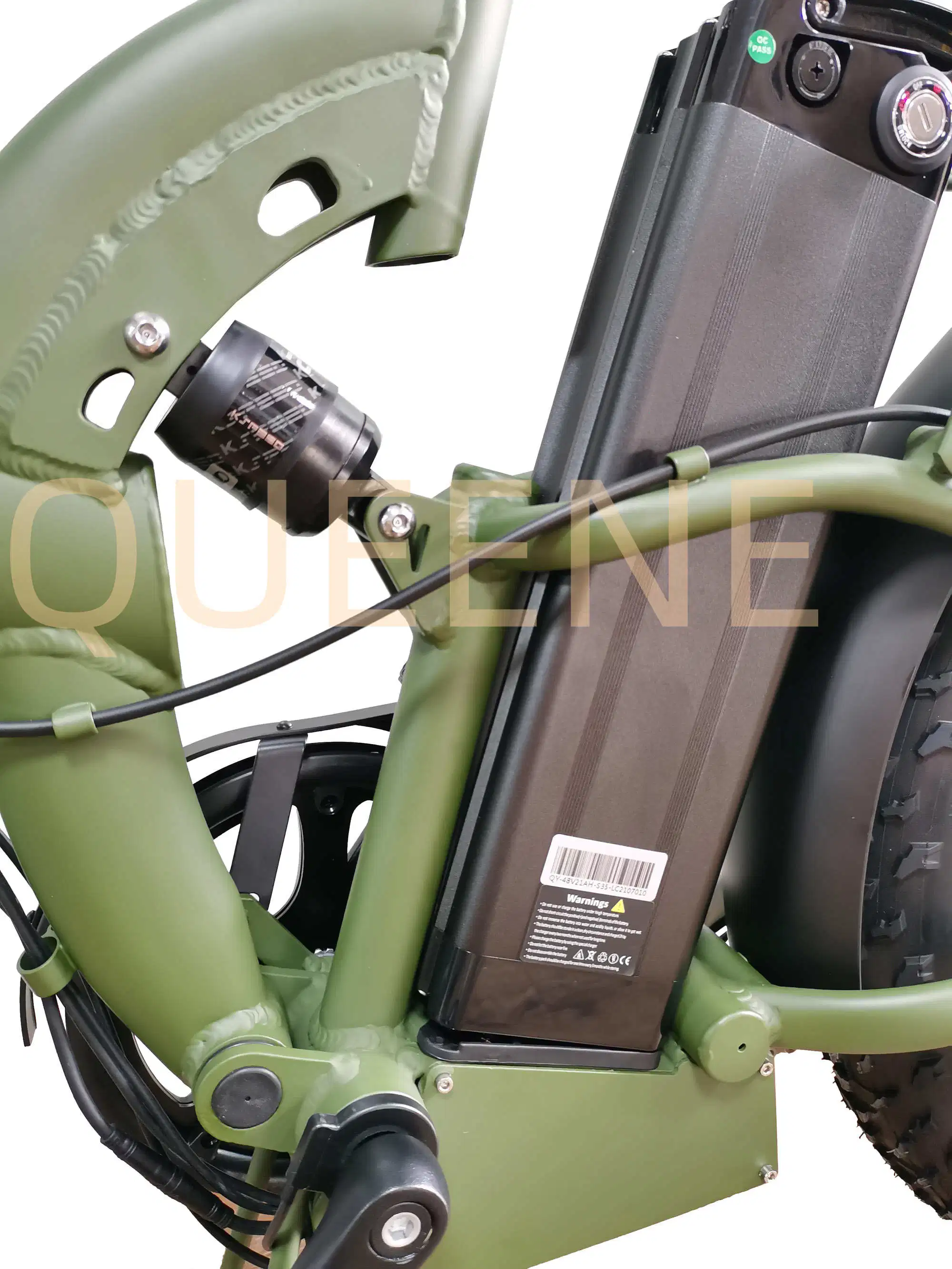 Queene/City Road 48V 750W 1000W de matières grasses de la saleté de Pneus e vélo avec suspension complète Ebike électronique électrique électrique