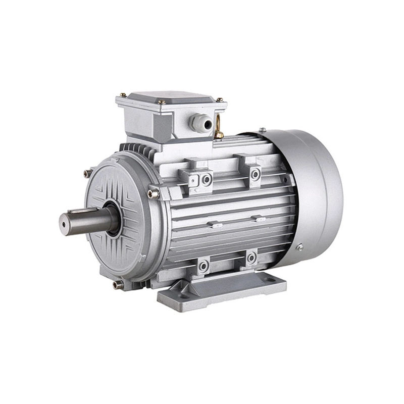 La serie MS Baja tensión de uso general AC 3 Fase de 0,75 KW motor de inducción de 1 HP