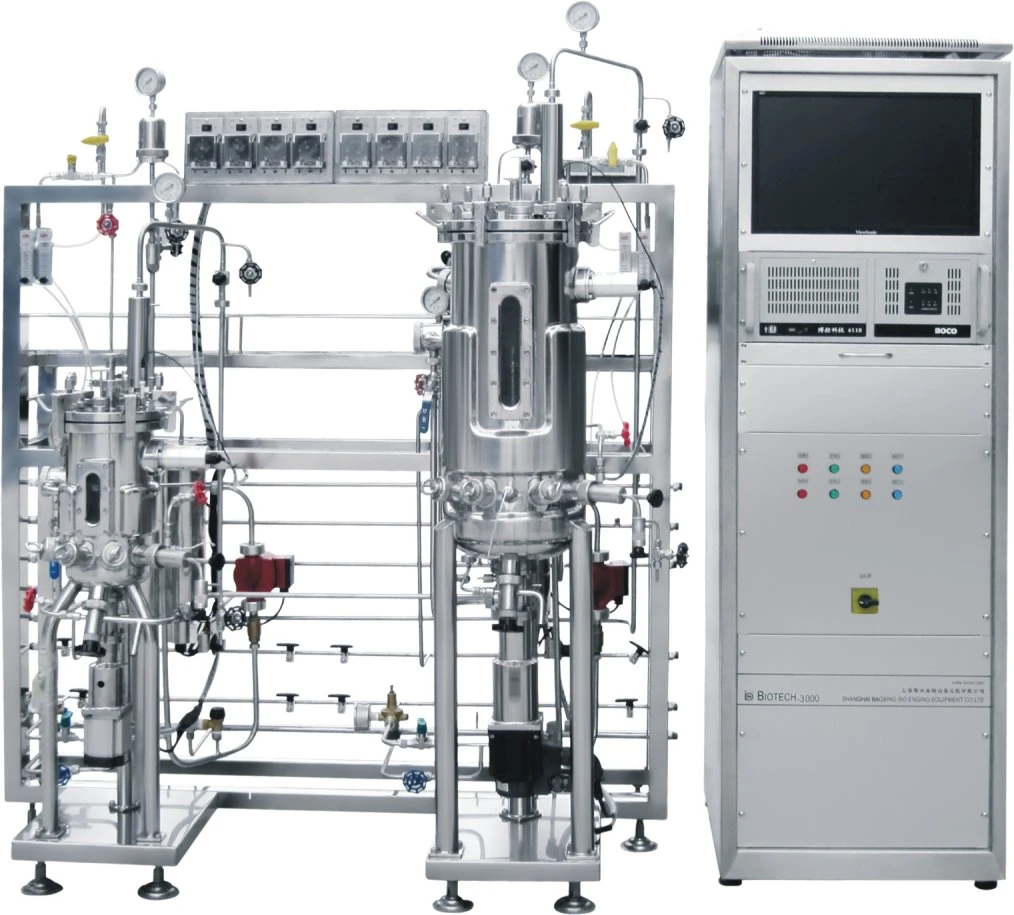 Magnetrührer 304 Edelstahl-Zellreaktor Festkörper Fermentationsgeräte