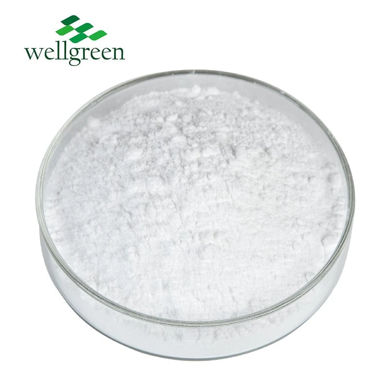Free Sample 99% Purity Supply Health Supplement Raw Material Alpha-GPC Powder Alpha GPC Powder